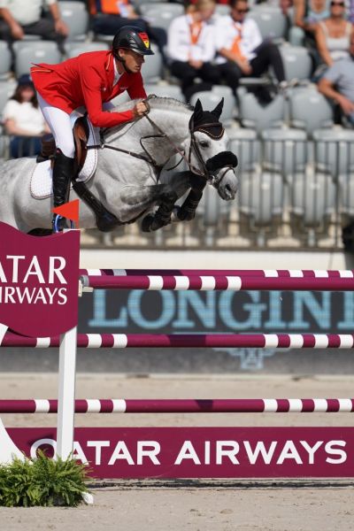 CLINTREXO Z - Medal winner! | Studfarm Zangersheide